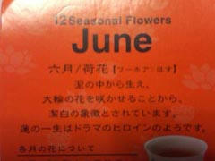 荷花（はす）
