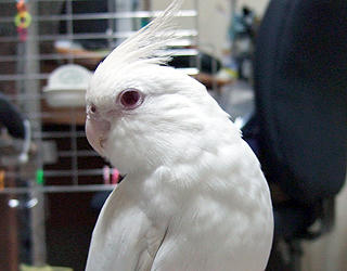 07poria_Profile.jpg