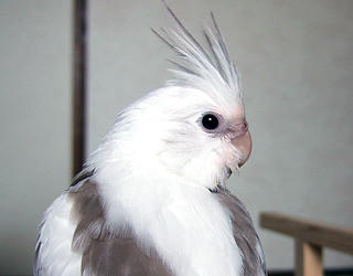 07erene_Profile.jpg