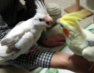 07-11-08futari2.jpg