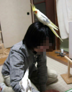07-1-08futari3.jpg