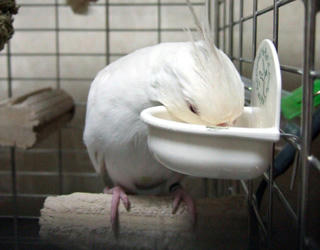 07-11-11poria1.jpg