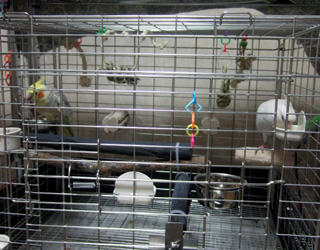 07-11-11futari.jpg