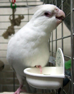 07-11-11poria3.jpg
