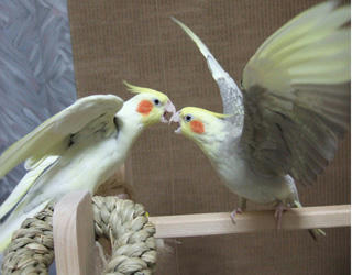 07-11-12futari1.jpg