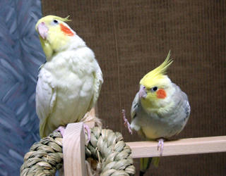 07-11-12futari3.jpg