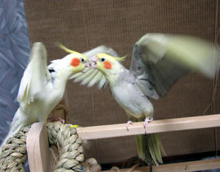 07-11-12futari4.jpg