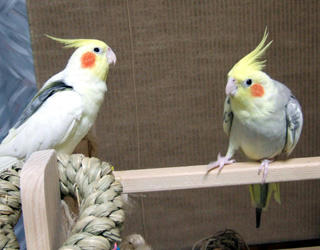07-11-12futari5.jpg