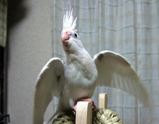 07-11-28erene.jpg