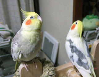07-12-07futari.jpg