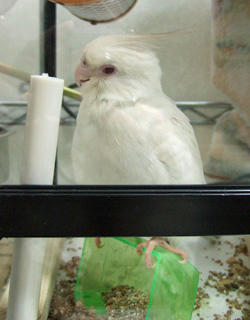 07-12-12poria.jpg