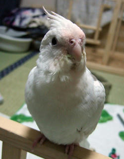 07-12-12erene1.jpg