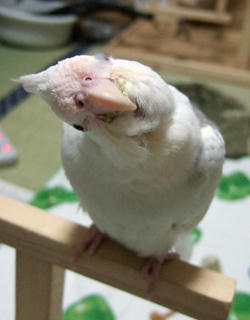 07-12-12erene2.jpg