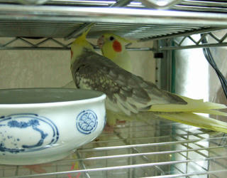 07-12-12futari1.jpg