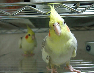07-12-12futari2.jpg