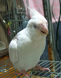 07-12-13erene.jpg