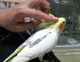 07-12-13firo2.jpg