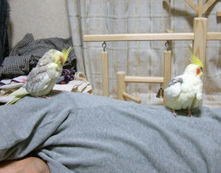 07-12-13futari.jpg