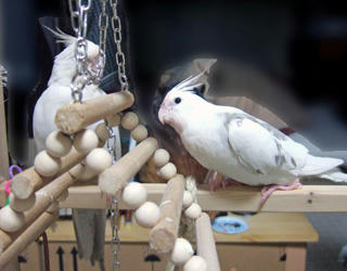 07-12-20futari2.jpg