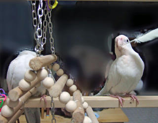 07-12-20futari1.jpg