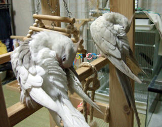 07-12-20futari5.jpg