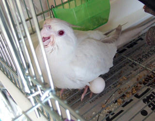 08-01-04poria1.jpg