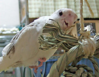 080106_erene01.jpg