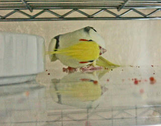 03_080110_firo01.JPG