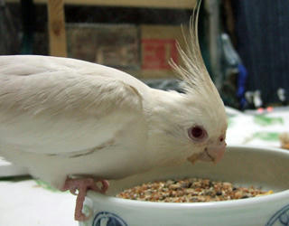 08-01-11poria.jpg