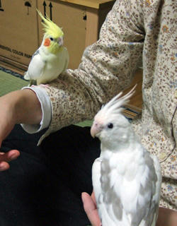 08-01-11futari1.jpg
