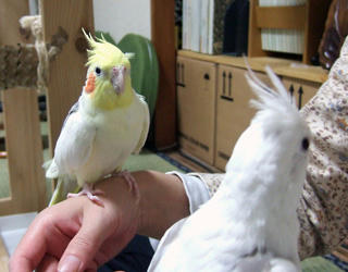 08-01-11futari2.jpg
