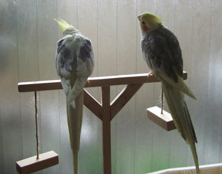 08-01-21futari.jpg