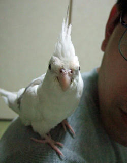08-02-01erene3.jpg