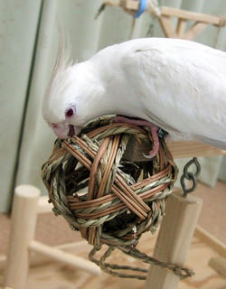 08-03-23poria1.jpg