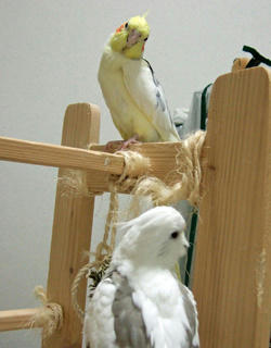 08-03-28futari2.jpg