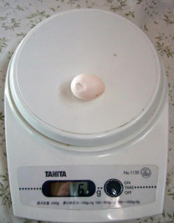 09-02-24erene2.jpg