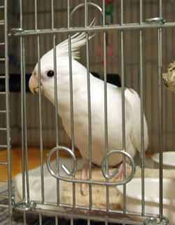 09-05-13erene.jpg