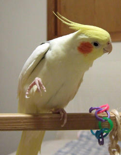 09-05-13firo.jpg