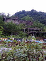 d23393e5.jpg