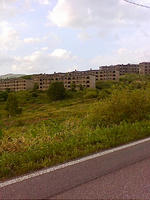 lib259113.jpg
