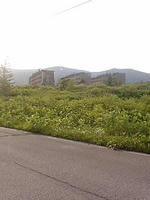 lib259114.jpg
