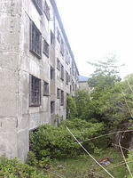 lib259111.jpg