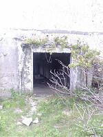 lib259115.jpg