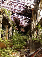 lib259127.jpg