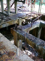 lib259129.jpg