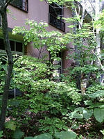 lib259144.jpg