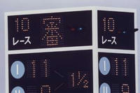 11005_oxxa.jpg