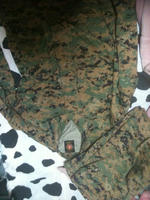 afe6e2b4.jpg