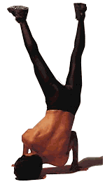 img6f52312bzikdzj.gif