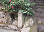 DSCF2656.jpg
